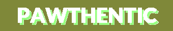 Pawthentic | Smart Pet Care, Joyful Play & Daily Wellness